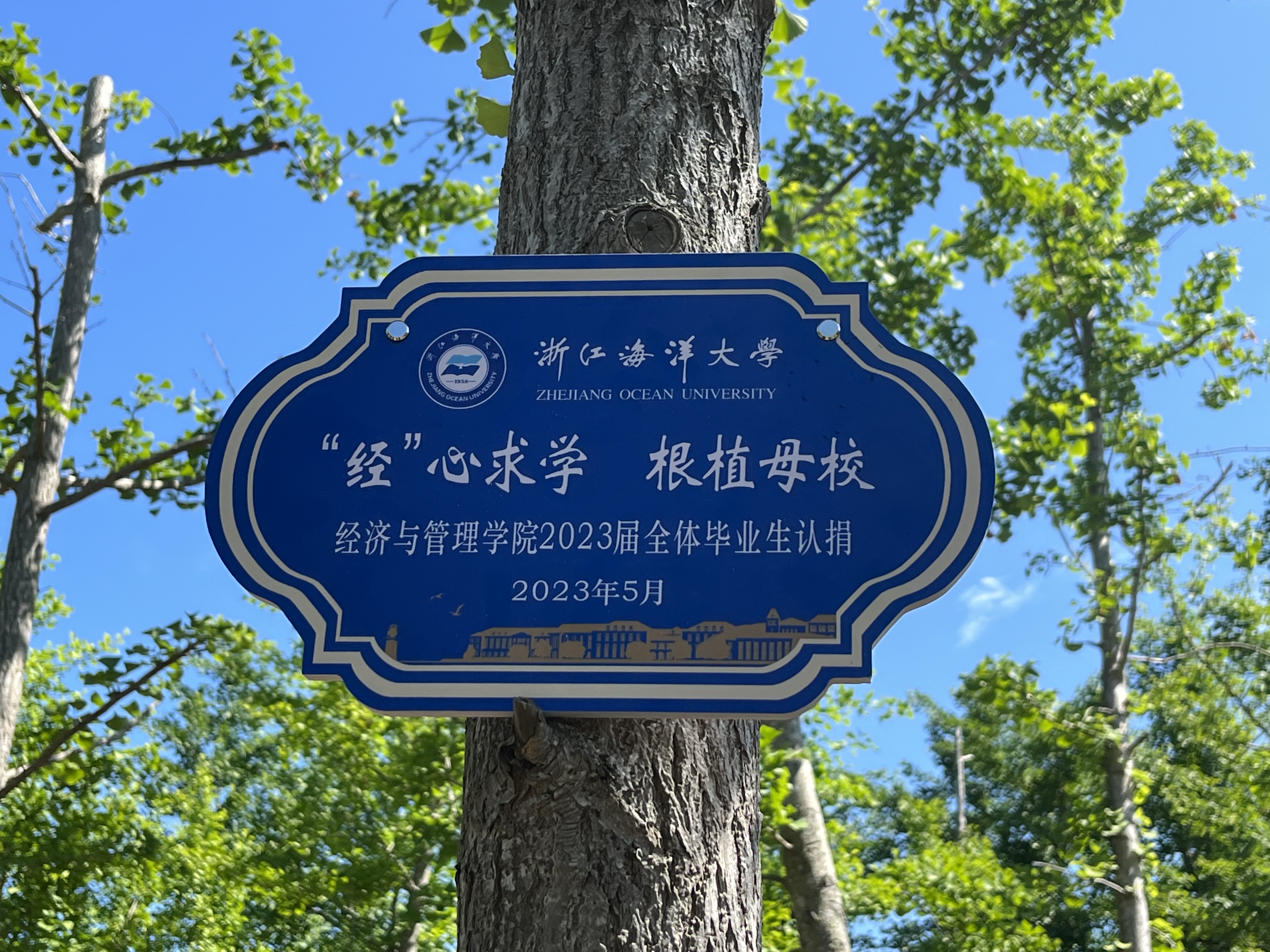 经管 (2).JPG