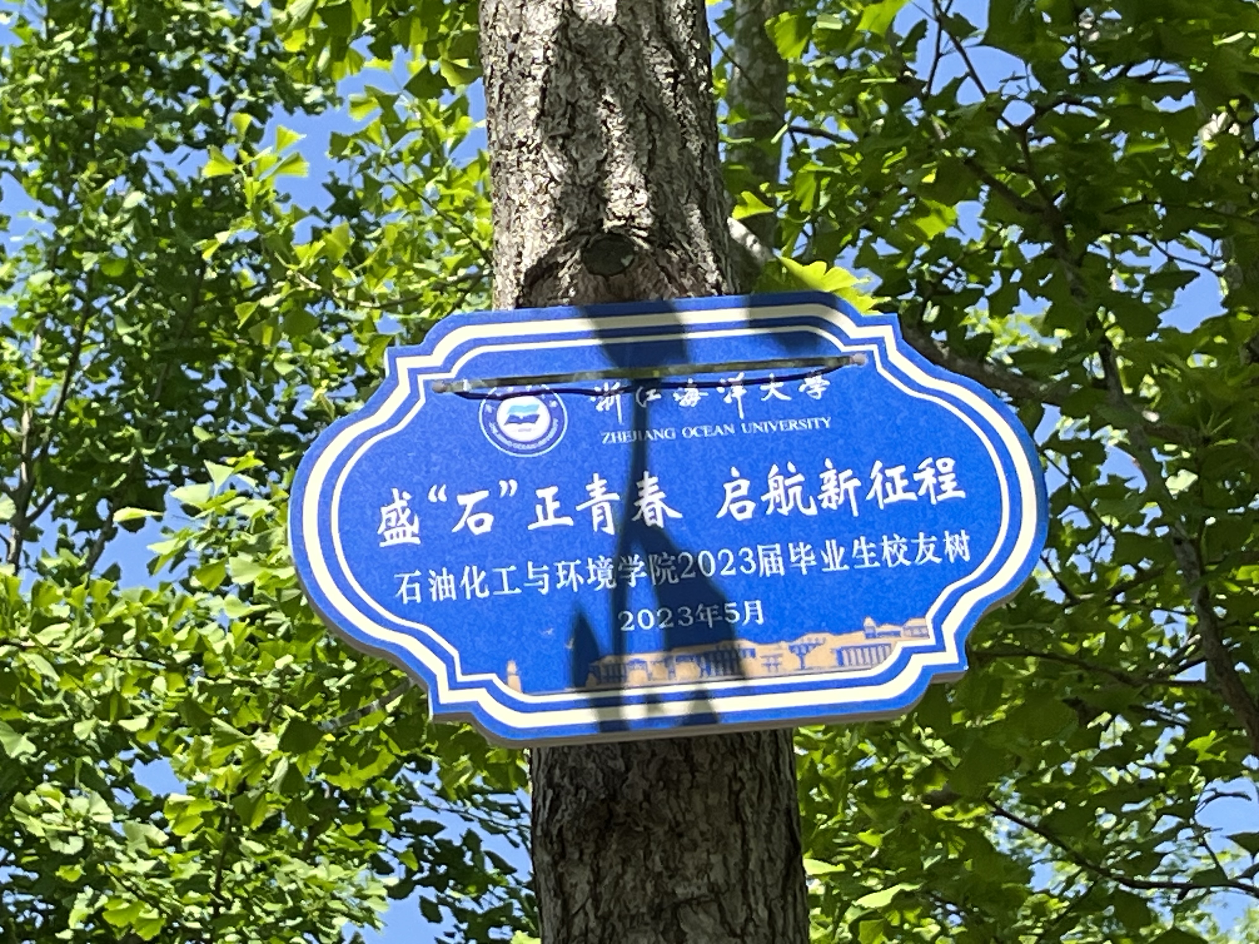 石化.JPG