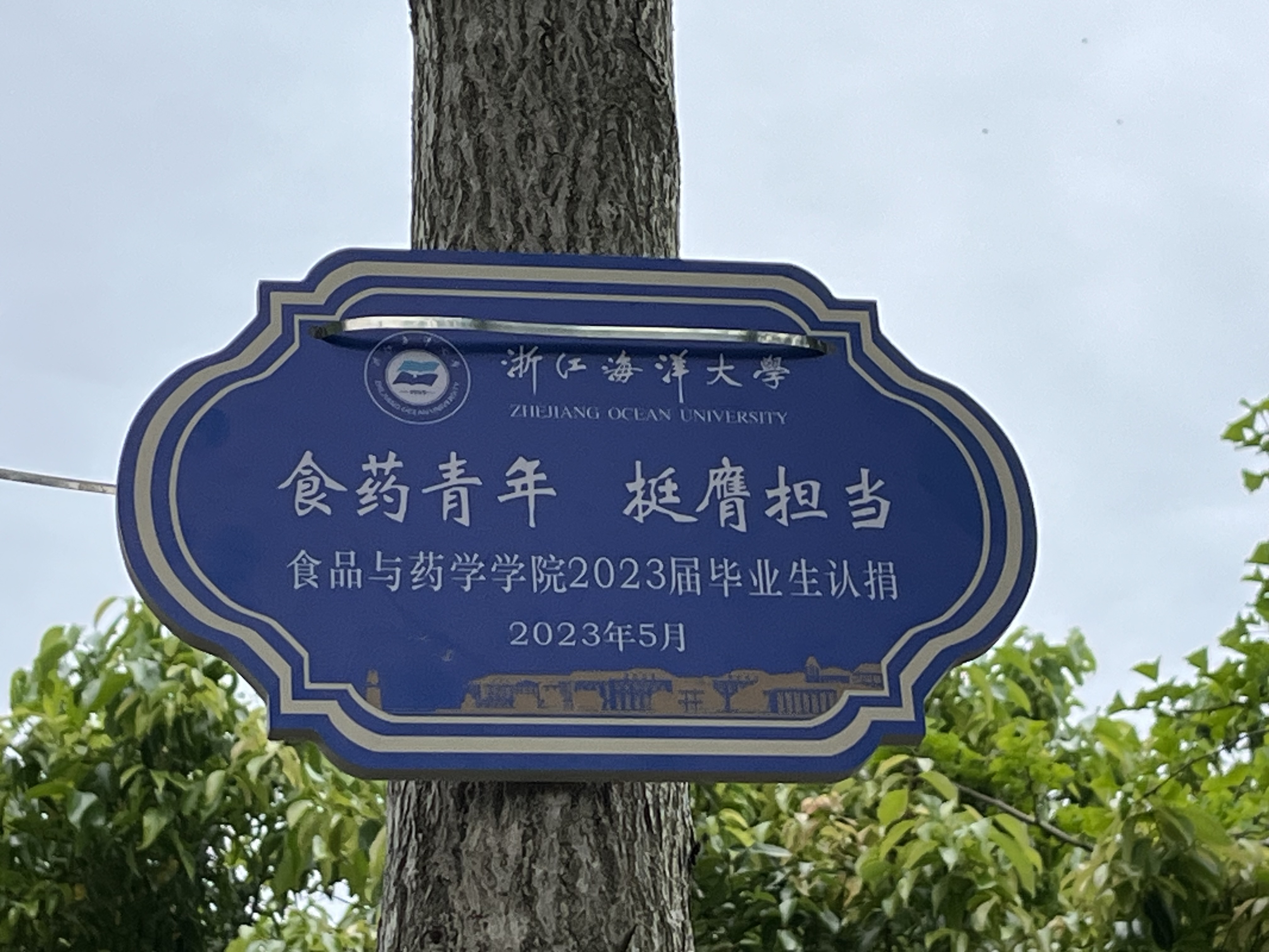 食药.JPG