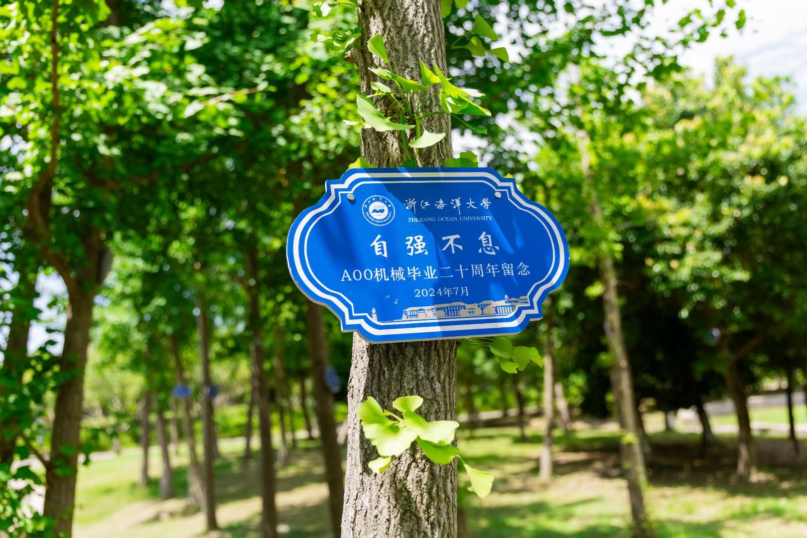 微信图片_20240727114026.jpg